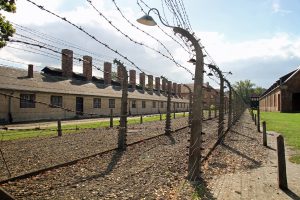 Auschwitz - Birkenau drut kolczasty