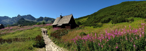 Tatry Dolina Chochołowska